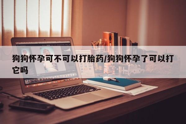 哪里有米非司酮片,狗狗怀孕可不可以打胎药/狗狗怀孕了可以打它吗