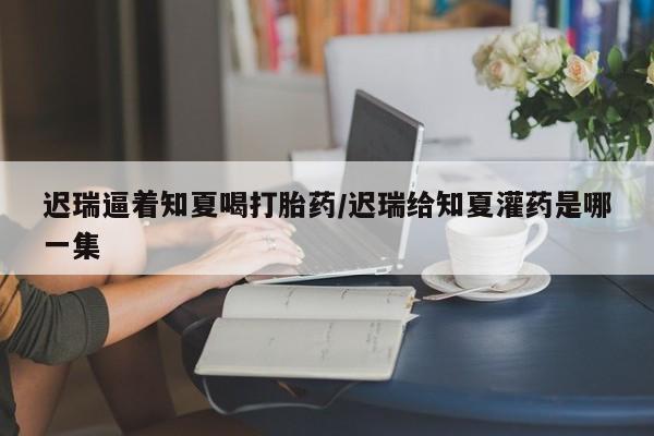 哪里有米非司酮片,迟瑞逼着知夏喝打胎药/迟瑞给知夏灌药是哪一集